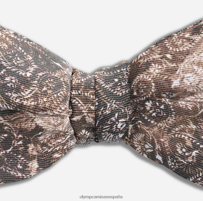 accesorios OLYMP pajarita regular 5,5 cm, marrón 8N2F2503