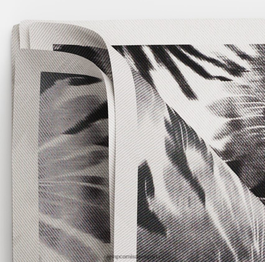 accesorios OLYMP pañuelo de bolsillo 30x30 cm, negro 8N2F2583